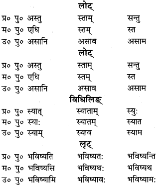 RBSE Class 9 Sanskrit व्याकरणम् 53
