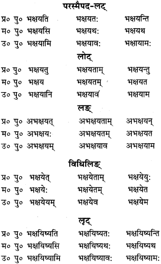 RBSE Class 9 Sanskrit व्याकरणम् 57