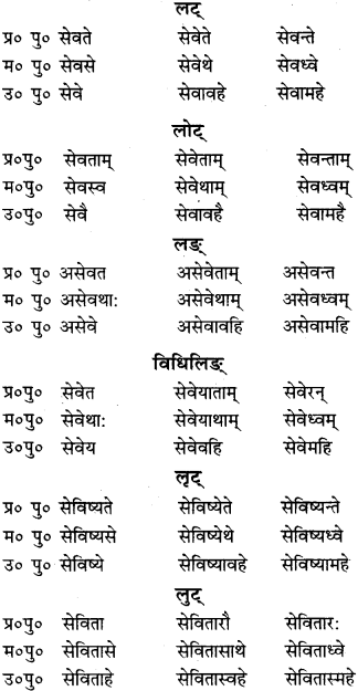 RBSE Class 9 Sanskrit व्याकरणम् 58