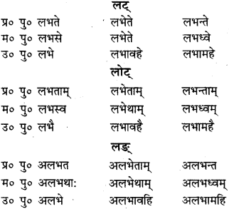 RBSE Class 9 Sanskrit व्याकरणम् 59