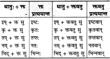 RBSE Class 9 Sanskrit व्याकरणम् 6