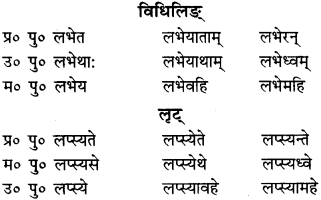 RBSE Class 9 Sanskrit व्याकरणम् 60