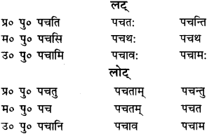RBSE Class 9 Sanskrit व्याकरणम् 62