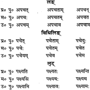 RBSE Class 9 Sanskrit व्याकरणम् 63