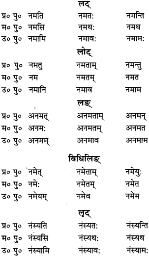 RBSE Class 9 Sanskrit व्याकरणम् 64
