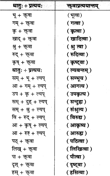 RBSE Class 9 Sanskrit व्याकरणम् 8