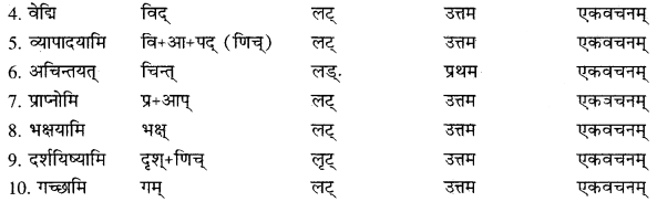 RBSE Solutions for Class 10 Sanskrit स्पन्दन Chapter 14 image 2