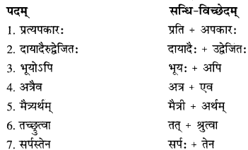 RBSE Solutions for Class 10 Sanskrit स्पन्दन Chapter 14 image 4