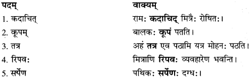 RBSE Solutions for Class 10 Sanskrit स्पन्दन Chapter 14 image 5