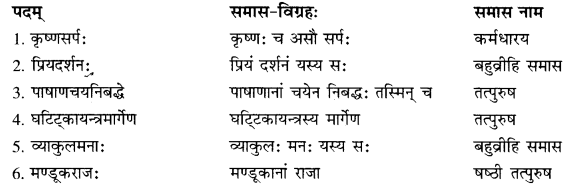 RBSE Solutions for Class 10 Sanskrit स्पन्दन Chapter 14 image 6