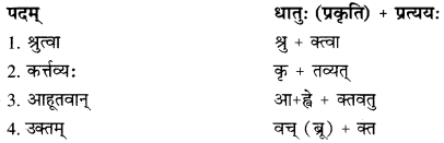 RBSE Solutions for Class 10 Sanskrit स्पन्दन Chapter 14 image 7