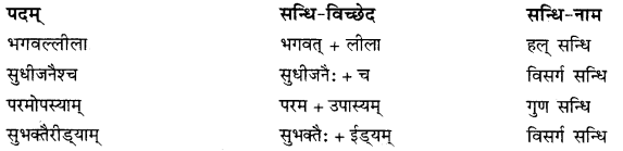 RBSE Solutions for Class 10 Sanskrit स्पन्दन Chapter 9 भारत-वैभवम् image 1
