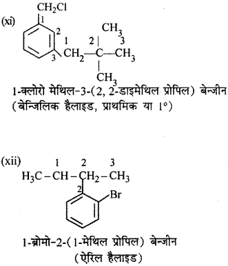 RBSE Solutions for Class 12 Chemistry Chapter 10 हैलोजेन व्युत्पन्न image 246