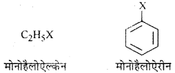 RBSE Solutions for Class 12 Chemistry Chapter 10 हैलोजेन व्युत्पन्न image 36
