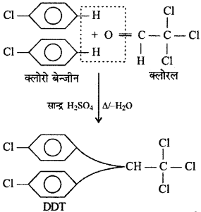 RBSE Solutions for Class 12 Chemistry Chapter 10 हैलोजेन व्युत्पन्न image 71