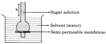 RBSE Solutions for Class 12 Chemistry Chapter 2 Solution image 9