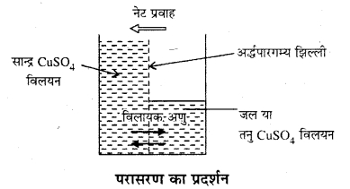 RBSE Solutions for Class 12 Chemistry Chapter 2 विलयन image 6