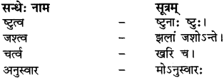 RBSE Solutions for Class 12 Sanskrit विजेत्र Chapter 14 पितामही मिलिता 18