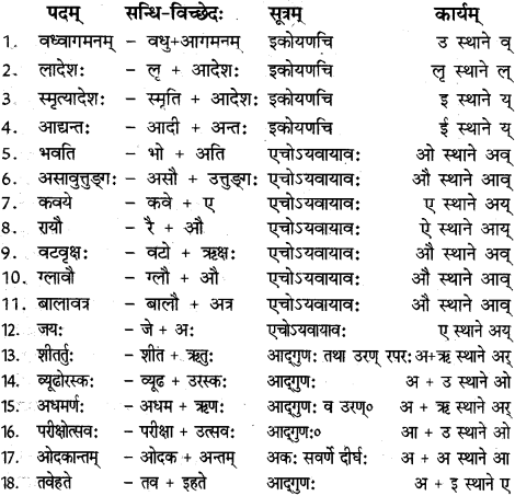 RBSE Solutions for Class 12 Sanskrit विजेत्र Chapter 14 पितामही मिलिता 11