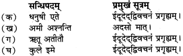 RBSE Solutions for Class 12 Sanskrit विजेत्र Chapter 14 पितामही मिलिता 16