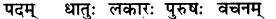 RBSE Solutions for Class 8 Sanskrit रञ्जिनी Chapter 11 सुभाषितानि - 1
