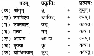 RBSE Solutions for Class 8 Sanskrit रञ्जिनी Chapter 15 स्वच्छ भारतम् - 1