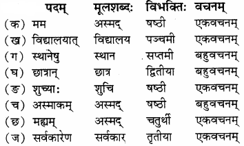 RBSE Solutions for Class 8 Sanskrit रञ्जिनी Chapter 15 स्वच्छ भारतम् - 2