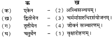RBSE Solutions for Class 8 Sanskrit रञ्जिनी Chapter 2 विद्यायाः बुद्धिरुत्तमा A6