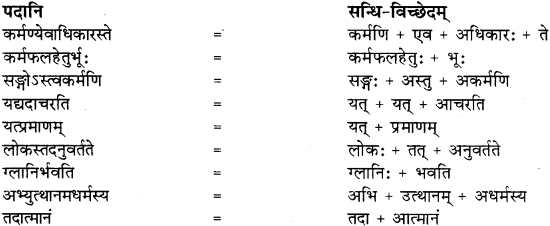 RBSE Solutions for Class 8 Sanskrit रञ्जिनी Chapter 5 गीतामृतम् - 4