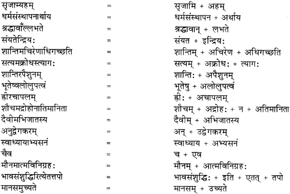 RBSE Solutions for Class 8 Sanskrit रञ्जिनी Chapter 5 गीतामृतम् - 5