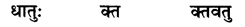 RBSE Solutions for Class 8 Sanskrit रञ्जिनी Chapter 6 प्राचीन-भारतीय-वैज्ञानिकाः