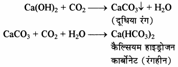 RBSE Solutions for Class 11 Chemistry Chapter 10 s-ब्लॉक तत्त्व img 18