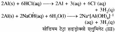 RBSE Solutions for Class 11 Chemistry Chapter 11 p - ब्लॉक तत्त्व img 3