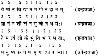 RBSE Class 11 Sanskrit अलंकार-परिचयः 15