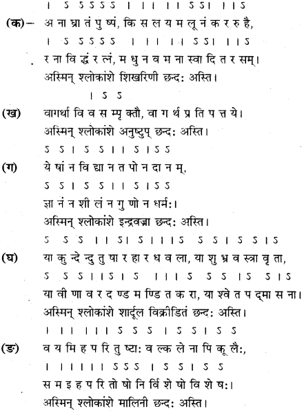 RBSE Class 11 Sanskrit अलंकार-परिचयः 6