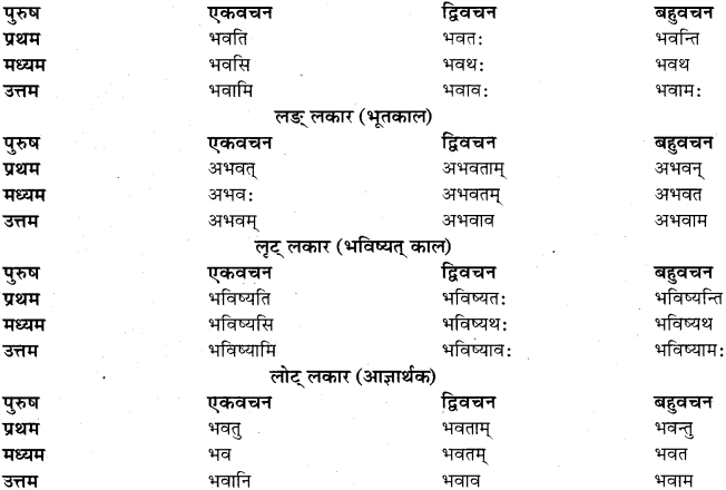 RBSE Class 11 Sanskrit व्याकरणम् धातुरूप प्रकरणम् 1.2