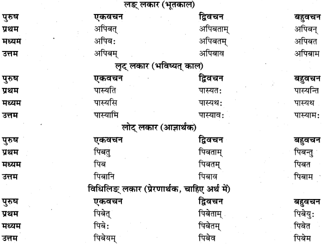 RBSE Class 11 Sanskrit व्याकरणम् धातुरूप प्रकरणम् 13