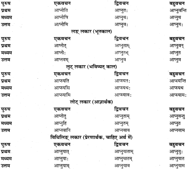 RBSE Class 11 Sanskrit व्याकरणम् धातुरूप प्रकरणम् 16
