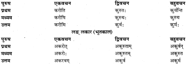 RBSE Class 11 Sanskrit व्याकरणम् धातुरूप प्रकरणम् 17