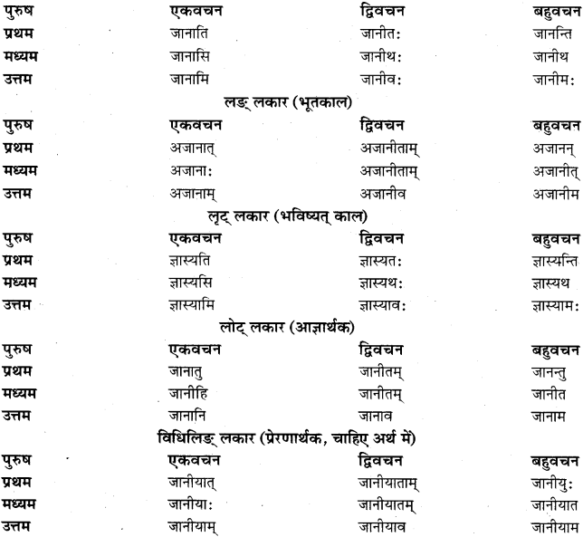 RBSE Class 11 Sanskrit व्याकरणम् धातुरूप प्रकरणम् 19
