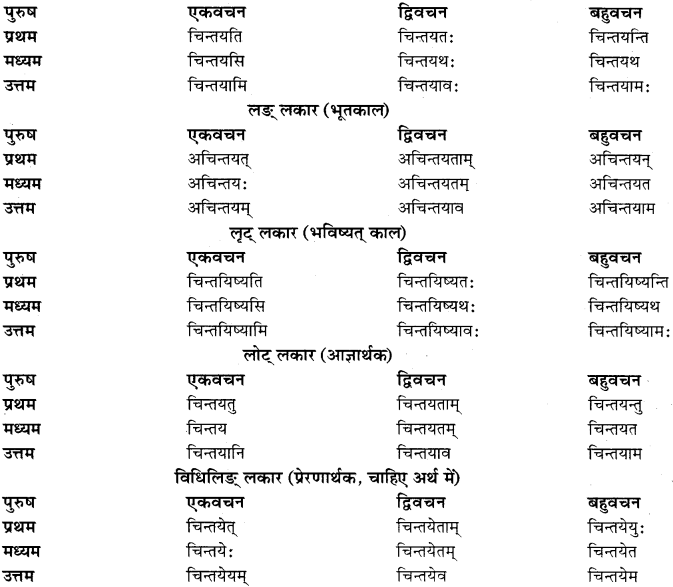 RBSE Class 11 Sanskrit व्याकरणम् धातुरूप प्रकरणम् 20