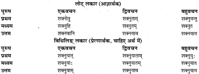 RBSE Class 11 Sanskrit व्याकरणम् धातुरूप प्रकरणम् 21