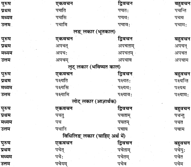 RBSE Class 11 Sanskrit व्याकरणम् धातुरूप प्रकरणम् 23