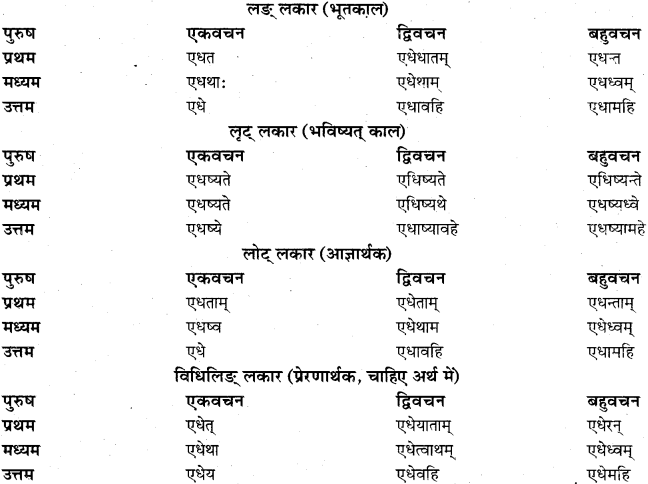 RBSE Class 11 Sanskrit व्याकरणम् धातुरूप प्रकरणम् 25