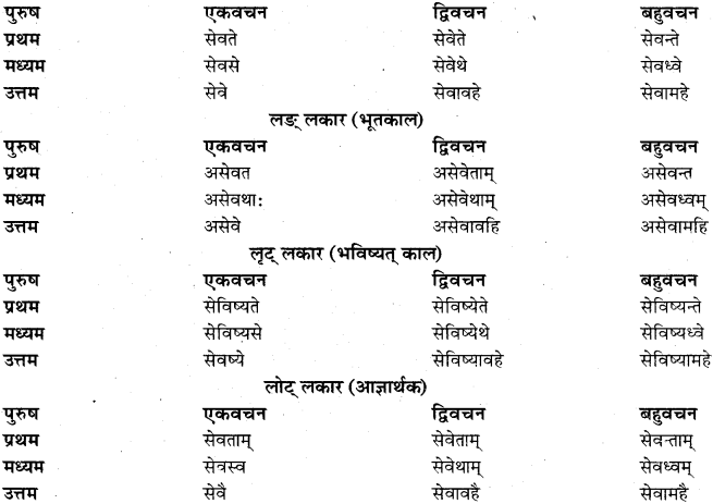RBSE Class 11 Sanskrit व्याकरणम् धातुरूप प्रकरणम् 26