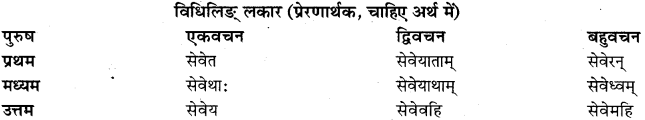 RBSE Class 11 Sanskrit व्याकरणम् धातुरूप प्रकरणम् 27
