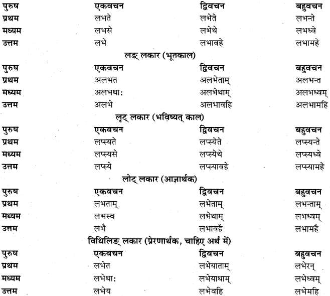 RBSE Class 11 Sanskrit व्याकरणम् धातुरूप प्रकरणम् 28