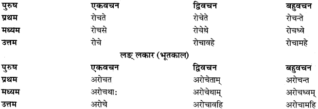 RBSE Class 11 Sanskrit व्याकरणम् धातुरूप प्रकरणम् 29