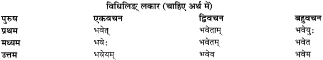 RBSE Class 11 Sanskrit व्याकरणम् धातुरूप प्रकरणम् 3