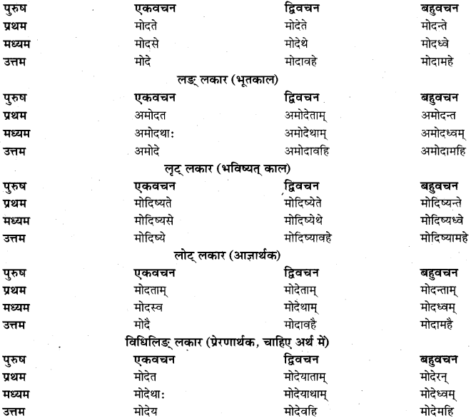 RBSE Class 11 Sanskrit व्याकरणम् धातुरूप प्रकरणम् 31